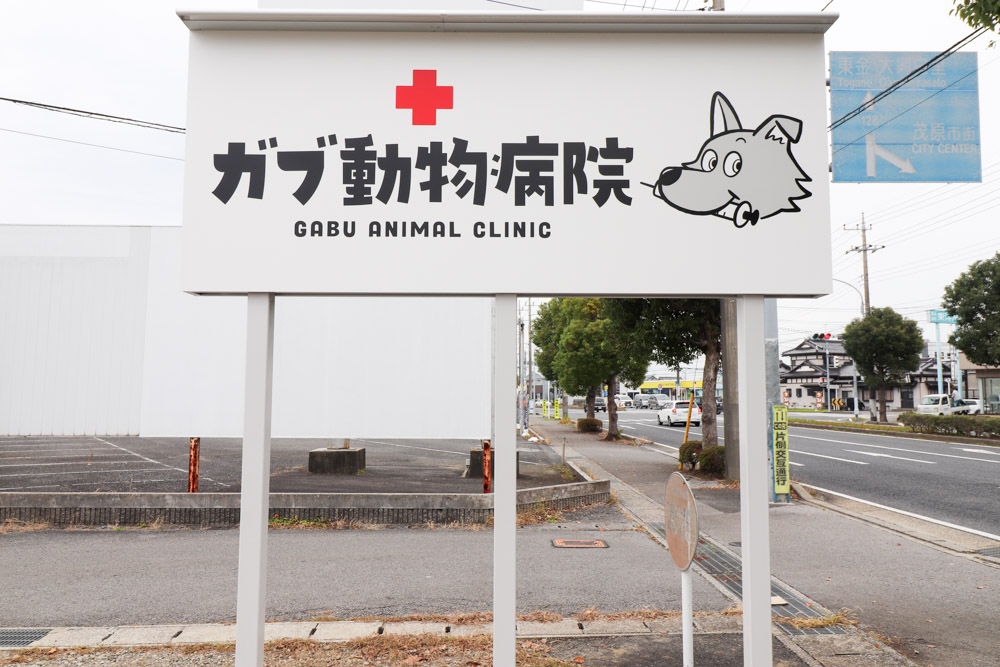 こちらの看板が目印